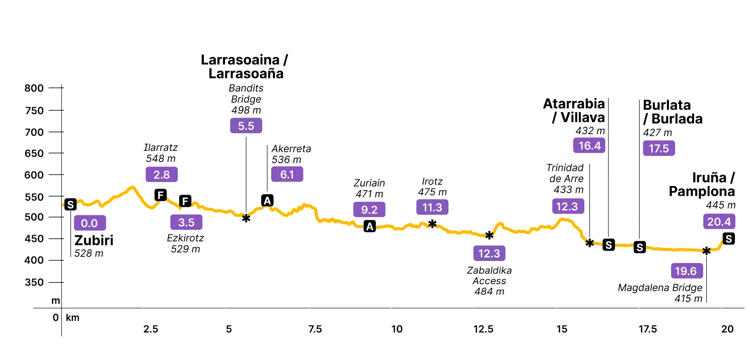 Elevation profile for Zubiri to Pamplona
